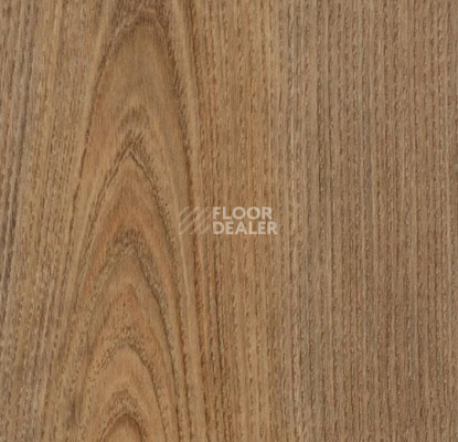 Линолеум Forbo SureStep Wood 18382 chestnut фото 1 | FLOORDEALER